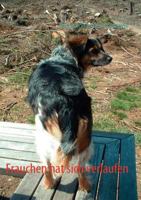 Frauchen hat sich verlaufen 3837081958 Book Cover