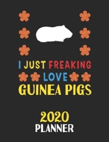 I Just Freaking Love Guinea Pigs 2020 Planner: Weekly Monthly 2020 Planner For People Who Loves Guinea Pigs 8.5x11 67 Pages 1678795534 Book Cover