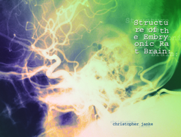 Structure of the Embryonic Rat Brain 193420000X Book Cover