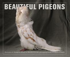 Beautiful Pigeons 1908005491 Book Cover