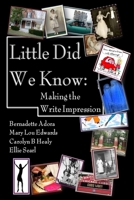 Little Did We Know: Making the Write Impression 0578002981 Book Cover
