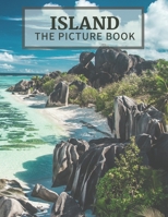 Island: The Picture Book of Amazing Island Great Gift for Alzheimer's Patients and Seniors with Dementia. B08W2QK6BB Book Cover
