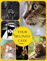 Your Beloved Cats: The Best Selection of 37 Cat Photos by Manhattan's Top Photographers 1008973599 Book Cover