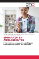 Embarazo En Adolescentes (Spanish Edition) 6200024642 Book Cover
