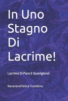 In Uno Stagno Di Lacrime!: Lacrime Di Pace E Guarigione! B09LGZVB2J Book Cover