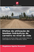 Efeitos da utilização de bombas hidráulicas de carneiro no nível de vida (Portuguese Edition) 6208330033 Book Cover