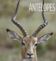 Antelopes 0898128374 Book Cover