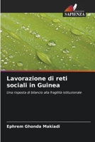 Lavorazione di reti sociali in Guinea: Una risposta di bilancio alla fragilità istituzionale 6206070611 Book Cover