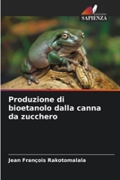 Produzione di bioetanolo dalla canna da zucchero (Italian Edition) 6209713475 Book Cover