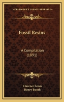 Fossil Resins: A Compilation 1120282284 Book Cover