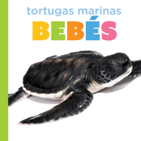Tortugas marinas bebés (El principio de los) (Spanish Edition) B0HBPL15SY Book Cover