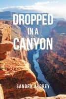 Dropped in a Canyon 1728316197 Book Cover