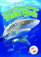 Oceanic Whitetip Sharks and Pilot Fish 1626179573 Book Cover