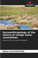 Socioanthropology of the failure of village water committees 6207003756 Book Cover
