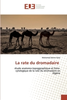La rate du dromadaire: étude anatomo-topoggraphique et histo-cytologique de la rate du dromadaire en Algérie 6139571790 Book Cover