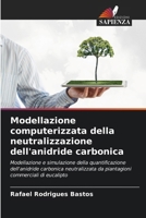 Modellazione computerizzata della neutralizzazione dell'anidride carbonica (Italian Edition) 6208735475 Book Cover