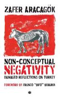 Non-Conceptual Negativity: Damaged Reflections on Turkey 1950192032 Book Cover