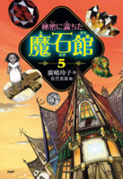 The Secret Magic Stone House 5 4569881513 Book Cover