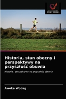 Historia, stan obecny i perspektywy na przyszłość obuwia: Historia i perspektywy na przyszłość obuwia 6203181056 Book Cover