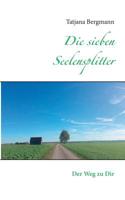 Die sieben Seelensplitter: Der Weg zu Dir 3740710012 Book Cover