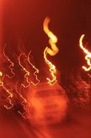 anything anymore anywhere spring 2010 1445723263 Book Cover