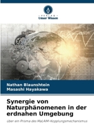 Synergie von Naturphänomenen in der erdnahen Umgebung (German Edition) 6209940021 Book Cover
