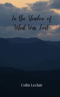 In the Shadow of What Was Lost 3690804361 Book Cover