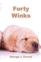 Forty Winks 1304888460 Book Cover