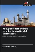 Recupero dell'energia termica in uscita dal calcinatore: Studio tecnico, economico e comparativo 6206061302 Book Cover
