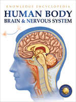Human Body - Brain And Nervous System: Knowledge Encyclopedia For Children 9389931258 Book Cover