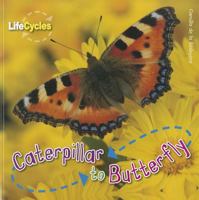 Caterpillar to Butterfly 1595668179 Book Cover