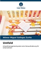 Umfeld (German Edition) 620661297X Book Cover