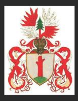 The Stamm/Stam Families of Wisconsin 1728798264 Book Cover