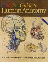 Coloring Guide to Human Anatomy 0781730422 Book Cover