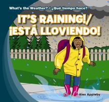It's Rainy! 143399397X Book Cover