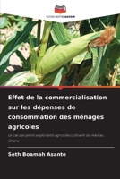 Effet de la commercialisation sur les dépenses de consommation des ménages agricoles 6206726584 Book Cover