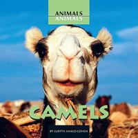 Camels (Animals, Animals) 0761417508 Book Cover