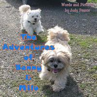 The Adventures of Benny and Milo: Milo's Journey Across the Rainbow Bridge 1536816566 Book Cover