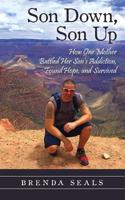 Son Down, Son Up: How One Mother Battled Her Son's Addiction, Found Hope, and Survived 1970037164 Book Cover