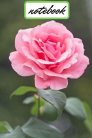 otebook: Vintage Floral Design (Vintage Flower and Botanical Designs-notebook diary -compisition book) 1672671418 Book Cover