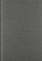 Race Relations Litigation in an Age of Complexity 0813915732 Book Cover
