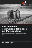 Le sfide della costruzione della pace nel Matebeleland 6205641720 Book Cover