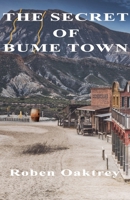 Secret of Bume Town B0DRZ7F1ZD Book Cover