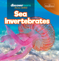 Sea Invertebrates 1641903597 Book Cover