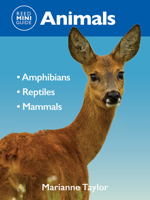 Reed Mini Guide: Animals: Amphibians L Reptiles L Mammals 1760796190 Book Cover