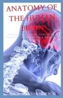 ANATOMY OF THE HUMAN BRAIN: Humаn Brain: Fасtѕ, Funсtіоnѕ & Anatomy & Yоur Brаіn & Nervous Sуѕtеm B096TJLKY2 Book Cover