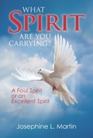 What Spirit are You Carrying? A Foul Spirit or an Excellent Spirit B0C47YLGLC Book Cover