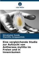 Eine vergleichende Studie zur Aufzucht von Antheraea mylitta im Freien und in Innenräumen (German Edition) 6208155320 Book Cover
