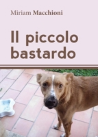 Il piccolo bastardo 8892616323 Book Cover