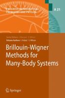 Brillouin-Wigner Methods for Many-Body Systems 9048133726 Book Cover